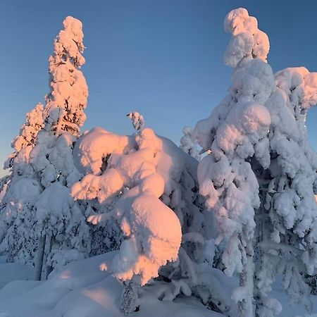 Stella Lapponia Two Floors 200 Sqm Apartment Rovaniemi Luaran gambar